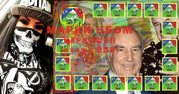 ПСИЛОЦИБИНОВЫЕ ГРИБЫ Магас