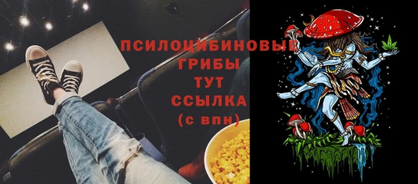 ПСИЛОЦИБИНОВЫЕ ГРИБЫ Магас